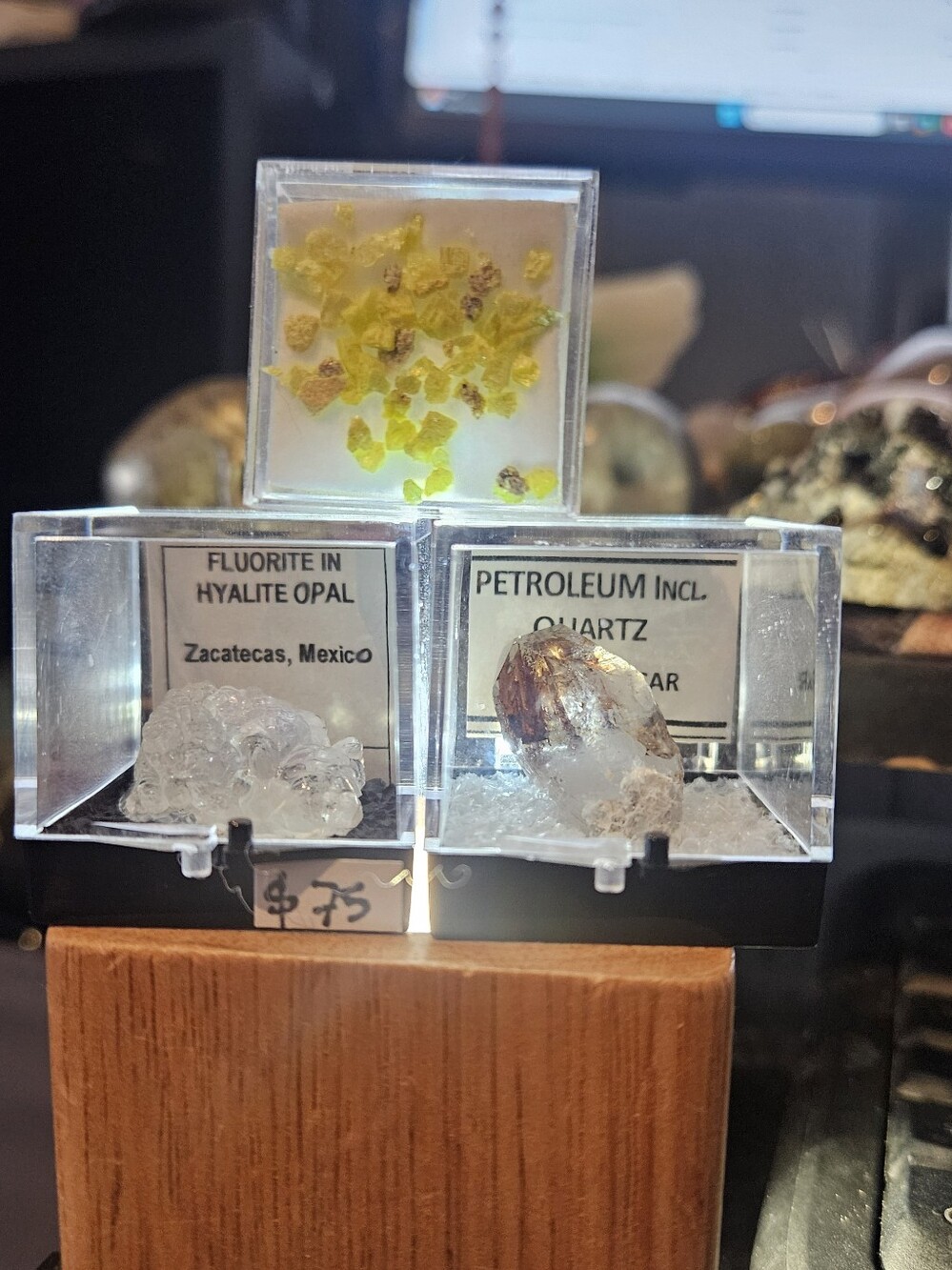 RARE Three Different Specimens- HIGH UV